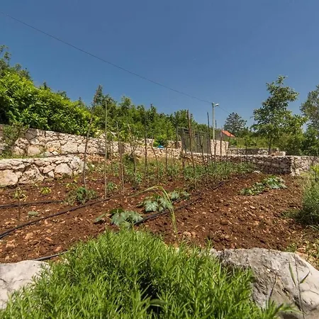 Villa Old Garden